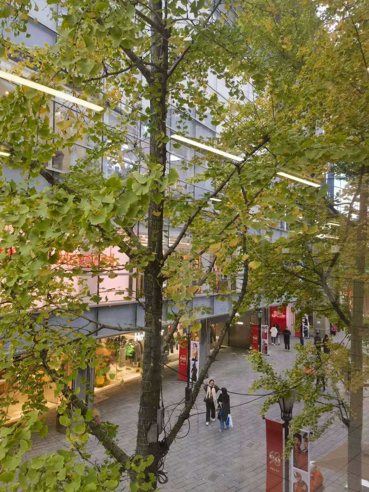 五彩灯笼下，老街的烟火气