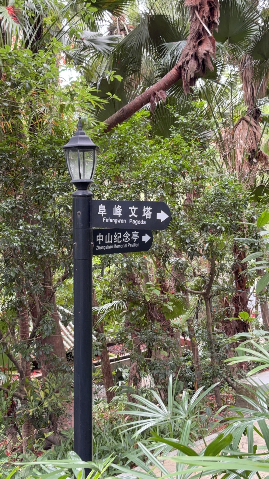 石岐老街的市井风貌，老字号店铺与热闹街景