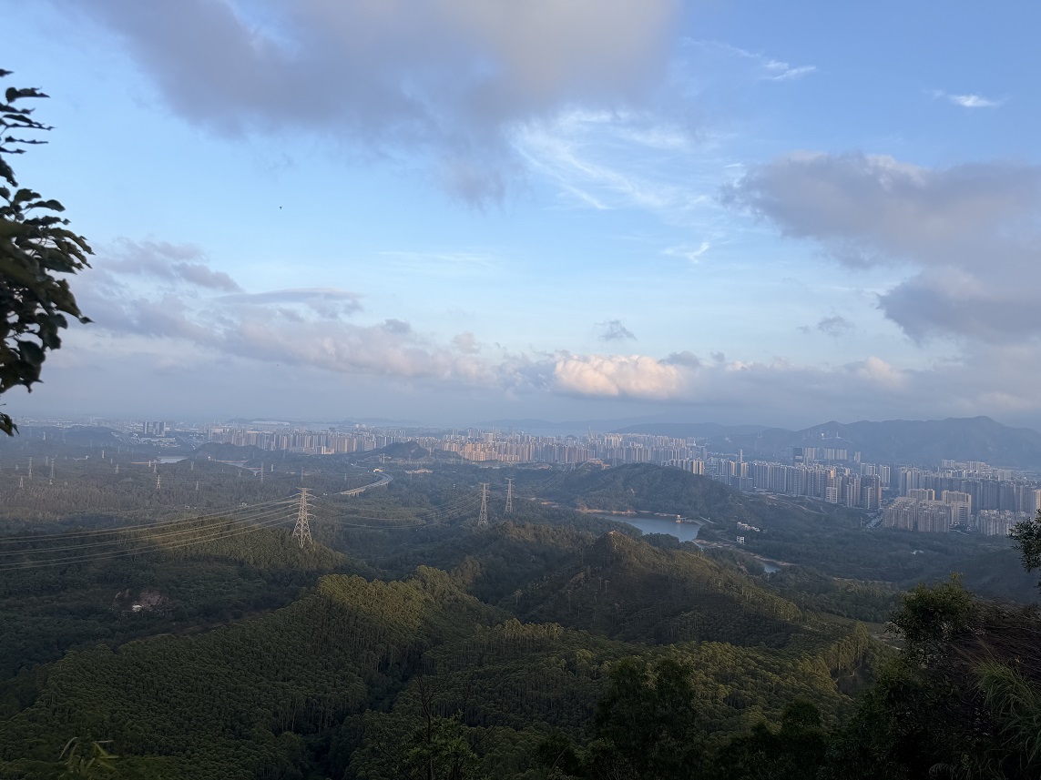 山间小路上的自然风景