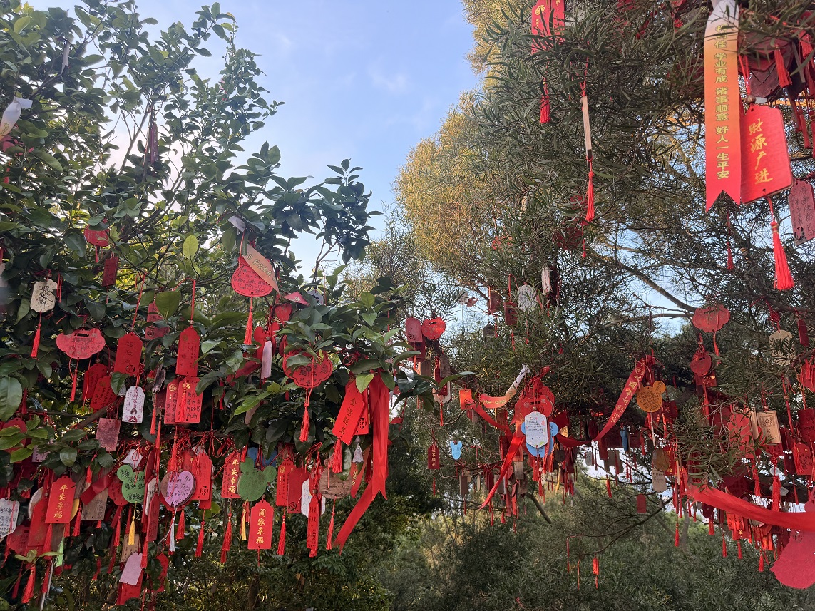 亚公顶的自然风光